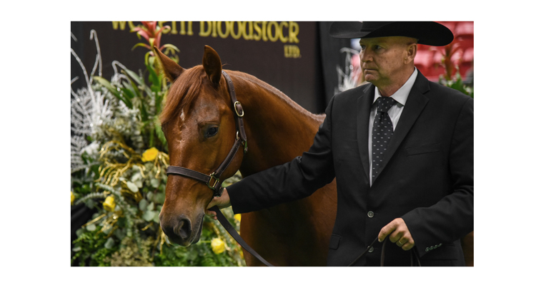 2021 Preferred Breeders Sale Session I sets another standard
