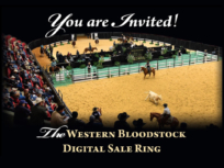 Online Sale of 3-Year-Old Cutting Bred Prospects