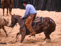 All-Time 2-Year-Old Record Launches 2022 NCHA Futurity Sales