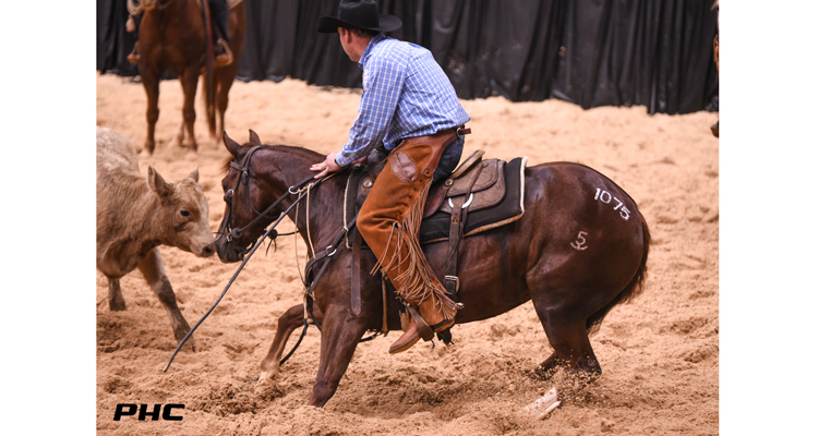 All-Time 2-Year-Old Record Launches 2022 NCHA Futurity Sales